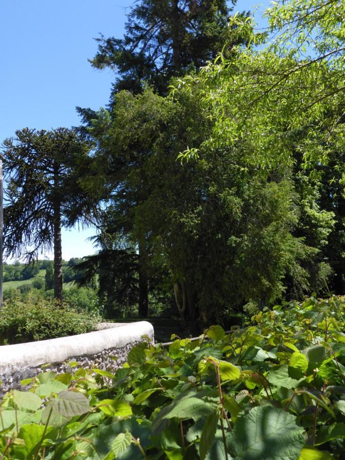 La Petite Bardouillere Villa Courdemanche  Exterior foto